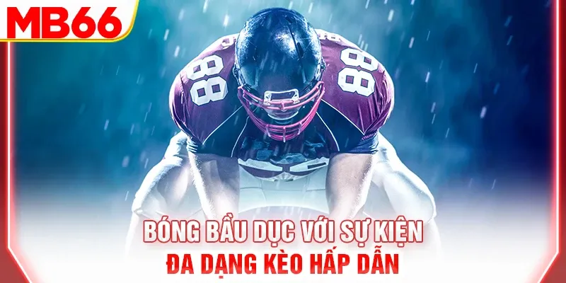 Bóng bầu dục với sự kiện đa dạng kèo hấp dẫn