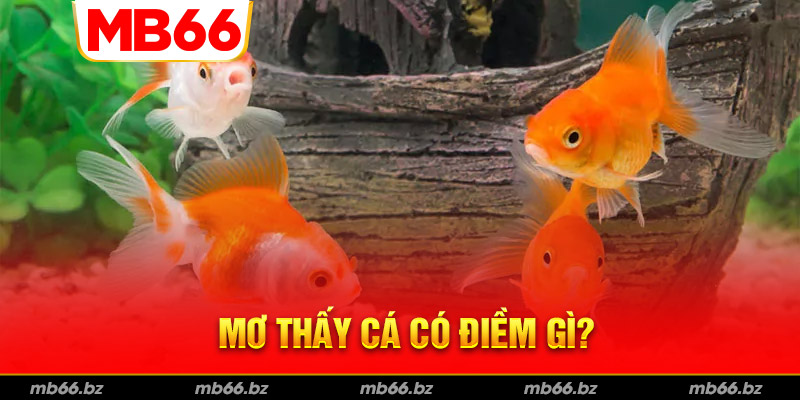 Giải mã mơ thấy cá là điềm gì?