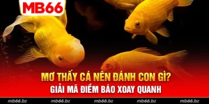 Mơ Thấy Cá Nên Đánh Con Gì? Giải Mã Điềm Báo Xoay Quanh