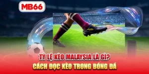 MB66 - Tỷ Lệ Kèo Malaysia Là Gì? Cách Đọc Kèo Dễ Hiểu