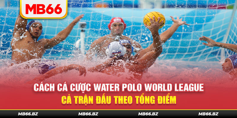 Cách cá cược Water Polo World League cả trận đấu theo tổng điểm