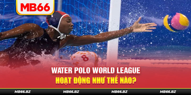 Cá cược Water Polo World League và cách hoạt động