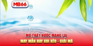 Mơ Thấy Nước Mang Lại May Mắn Hay Xui Xẻo – Giải Mã