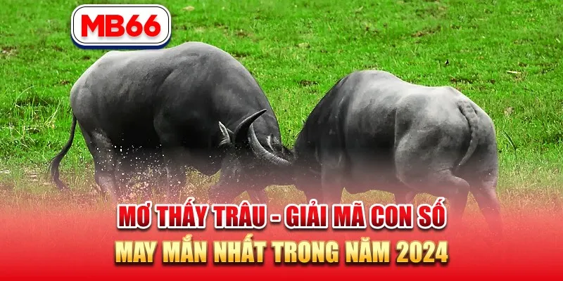 Mơ Thấy Trâu – Giải Mã Con Số May Mắn Nhất Trong Năm 2024