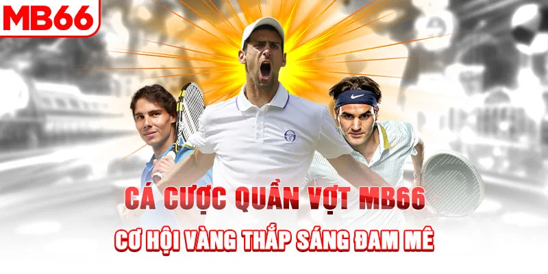 Cá Cược Quần Vợt MB66 – Cơ Hội Vàng Thắp Sáng Đam Mê