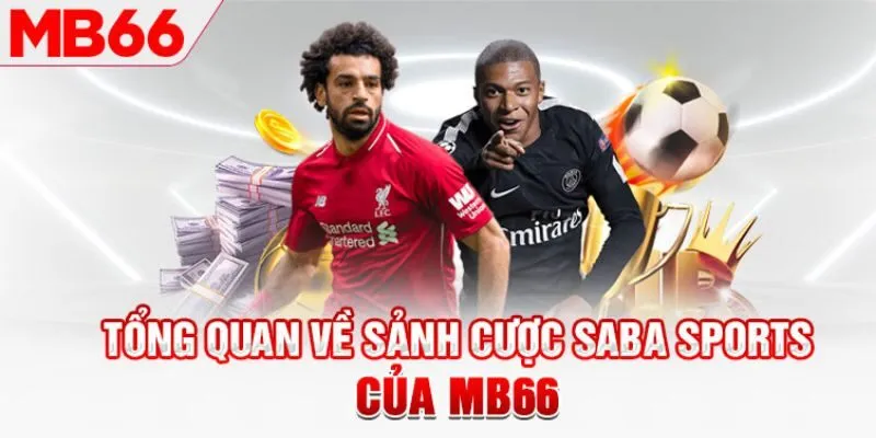 Giới thiệu về sảnh cá cược Saba Sports của MB66