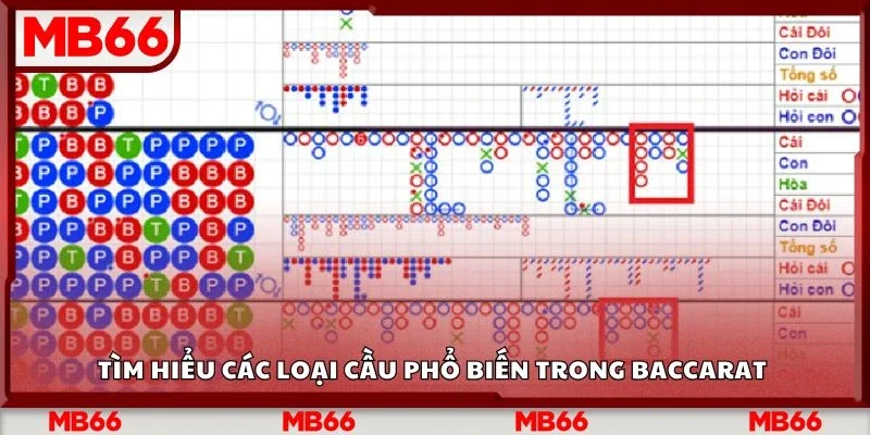 Tìm hiểu các loại cầu phổ biến trong Baccarat